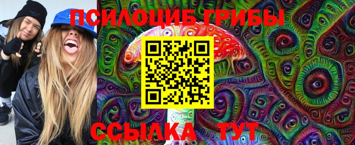 Псилоцибиновые грибы мухоморы Сланцы
